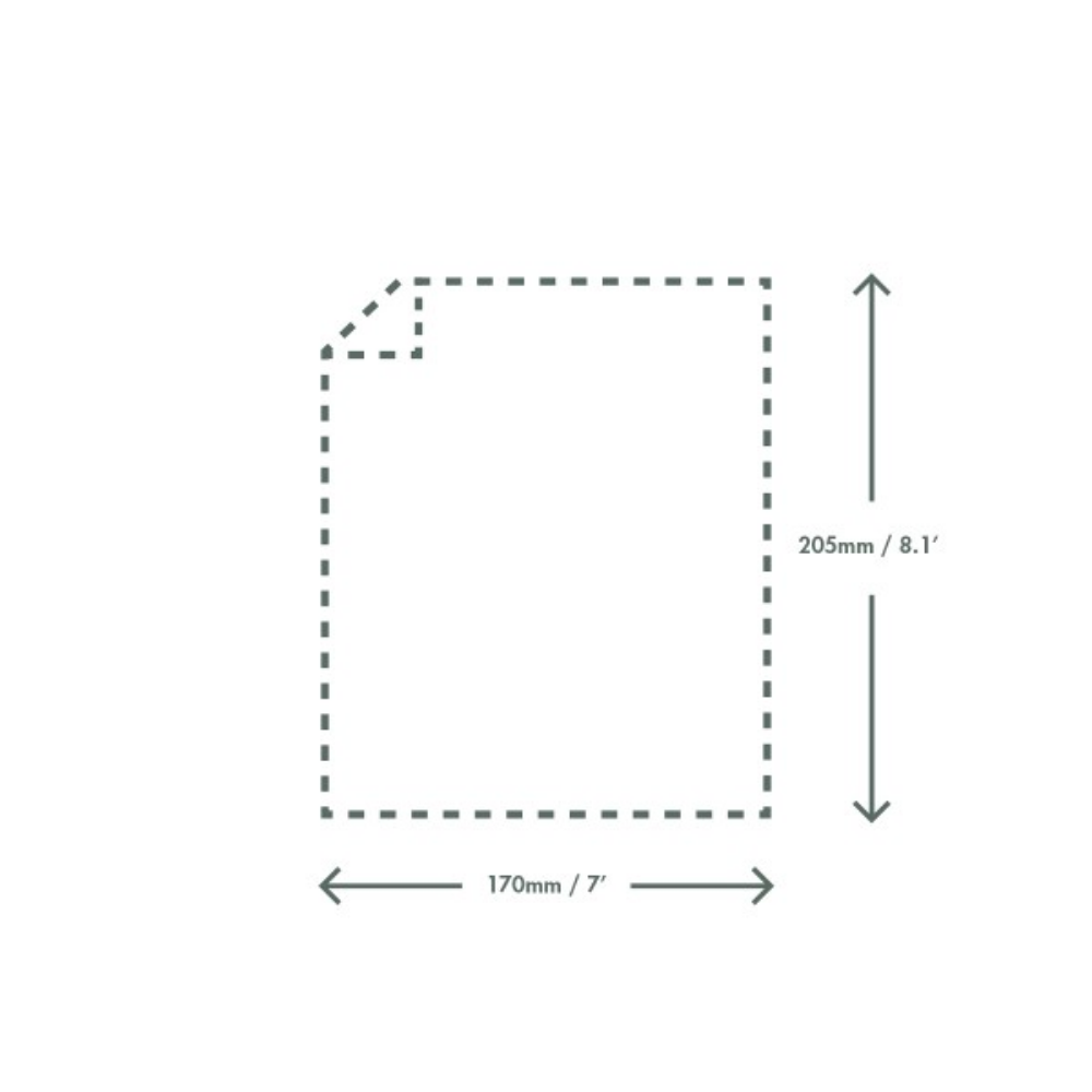 Bolsa natureflex transparente de 170 X 205 mm (17 X 20,5 cm) caja x1000