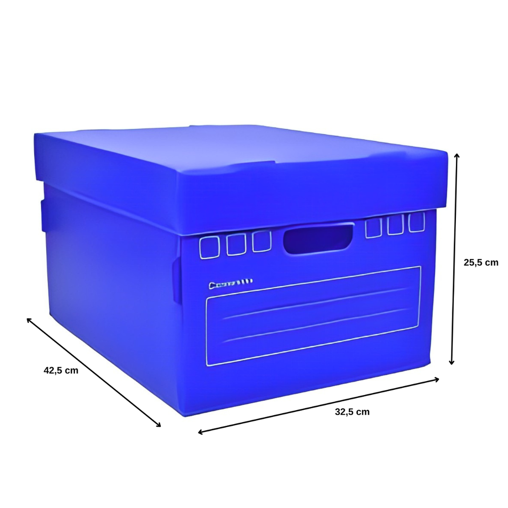 Caja Big Box Plastificada 43 cm