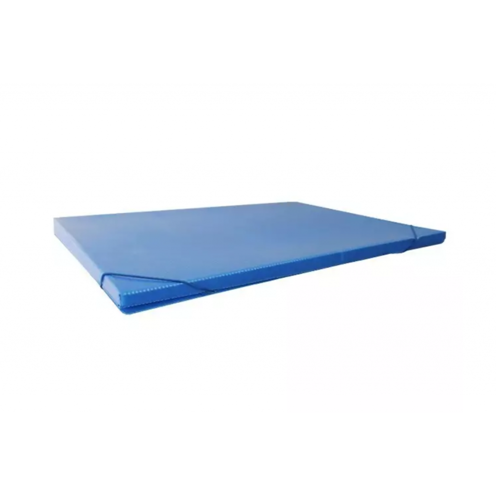 Carpetas con elástico Cartonplast 1 cm 