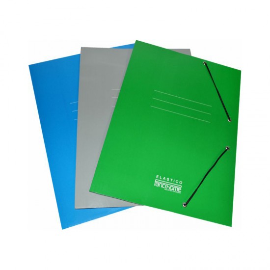Carpeta con elastico 307