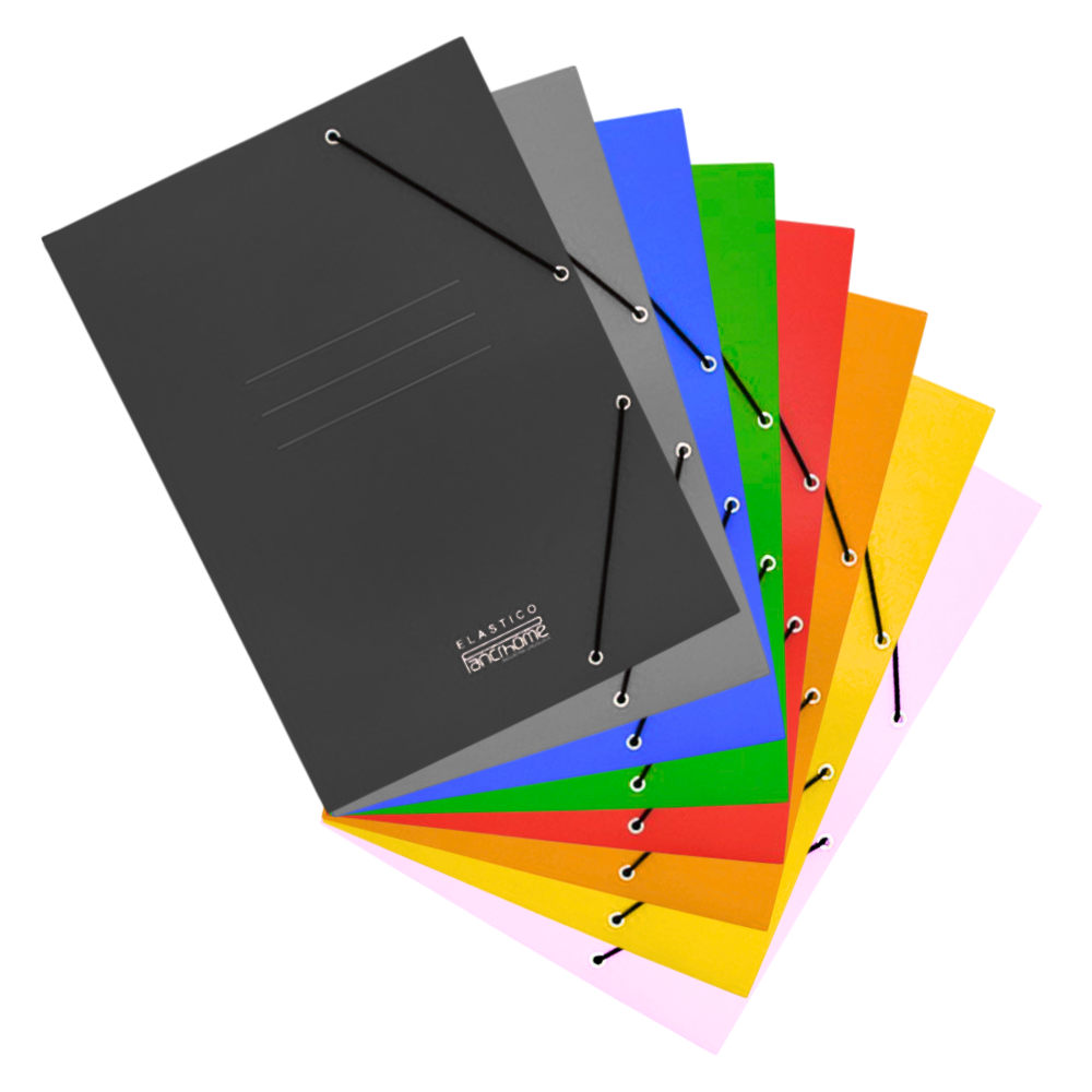 Carpetas con elástico 307