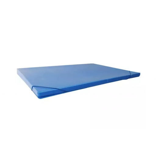 Carpetas con elástico Cartonplast 1 cm 